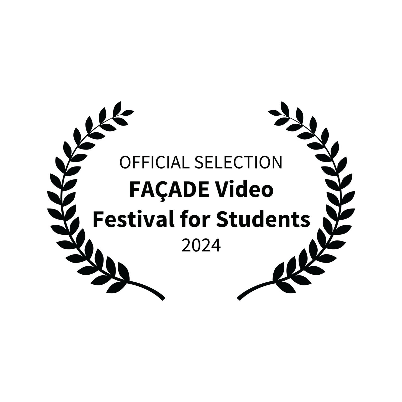 facade video