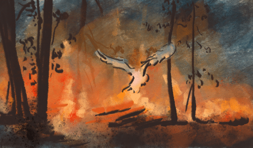 still01©Anna Benner